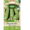 VILMORIN Courgette Greyzini - BIO