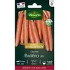 VILMORIN Carotte Boléro F1 - Graines d' Exception