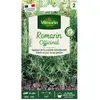 Romarin Officinal