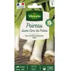 Graines - Vilmorin - Poireau Jaune Gros du Poitou