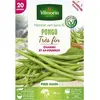 VILMORIN Haricot Pongo 20M