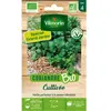 Graine - Vilmorin - Coriandre Cultivée - BIO - Grand Modèle