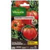 VILMORIN Sachet de Graines Tomate Gourmandia HF1- Saveur et Résistance au Jardin-