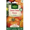 VILMORIN Tomate Ananas