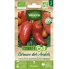 VILMORIN Tomate Cornue des Andes - BIO