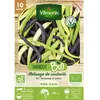 VILMORIN Haricot Nain en Mélange de Couleurs - 10M - BIO