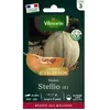 VILMORIN Melon Stellio HF1 - Graines d' Exception
