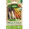 VILMORIN Carotte Mélange de Couleurs