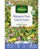 Graines - Vilmorin - Coin de Prairie - 7 m² - Mélange de fleurs