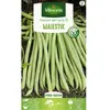 Graine - Vilmorin - Haricot nain vert sans fil Majestik
