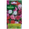 Plante - VILMORIN - Impatiens hybride variée - Massif - Eté - Mi-ombre