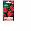 Graine de Géranium VILMORIN - HF2 éclat rouge - Variété très florifère