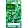 VILMORIN Mélisse officinale