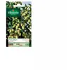 Graines - Vilmorin - Houblon Grimpant