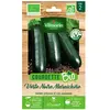 Courgette verte noire maraichère bio Vilmorin
