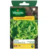 VILMORIN Laitue Romaine Gotte Jaune d’Or Gotte dorée