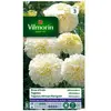 VILMORIN Rose d’Inde Kilimandjaro blanche