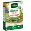 VILMORIN Graines de Haricot nain vert Gourmandel - 10 mètres