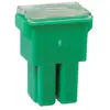 Restagraf Fusible Japonais, Femelle, Type AS, 40A, Vert