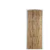 Canisse roseau 1mX5m