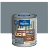 RIPOLIN Peinture Bois Satin Haute Protection 10 ans qui Protège et Mag...