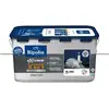 Peinture pour façade RIPOLIN - Blanc mat - Protection Extrême - 2,5 L