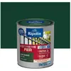 RIPOLIN Peinture pour Fer Extérieur - Vert Basque Brillant, 0,5L