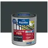 RIPOLIN Peinture pour Fer Extérieur - Gris Anthracite Brillant, 0,5L