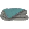 TOISON D'OR HUDSON Couette légère Microfibre 200g/m² 240x260cm Galet & Lac