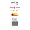 Maison Berger Paris parfumverspreider cube orange cinnamon 100 ml