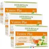 Herbesan Bio Infusion Ventre Plat Saveur Citron n°10 Lot de 3 x 20 sac...
