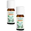 Puressentiel Huile Essentielle Menthe poivrée Bio 10ml Lot de 2