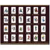 Lot de 24pcs Jeux de Cartes standard amiibo AMIIBO nfc Tag Carte compa...