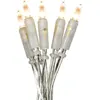 Star Trading lichtketting 'P-LED Indoor', transparant, 20 P-LED's 2,85...