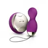 Lelo Boules de Geisha Hula Beads
