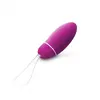 LELO Smart Bead Vibrerend Ei, persoonlijke genotstrainer, Paars