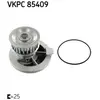 SKF Waterpomp