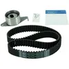 SKF Distributieriemset