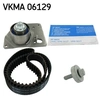 SKF Distributieriemset
