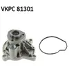 SKF Waterpomp