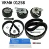 SKF Distributieriemset