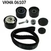 SKF Distributieriemset