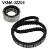 SKF Distributieriemset