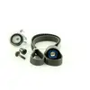 SKF Distributieriemset