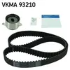 SKF Distributieriemset