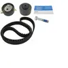 SKF Distributieriemset