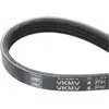 SKF Multiriem
