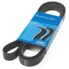 SKF VKMV 5PK1135 Courroie Multi-V