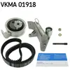 SKF Distributieriemset