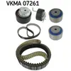 SKF Distributieriemset